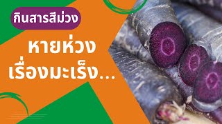 สูตรน้ำแครอทม่วงหายห่วงเรื่องมะเร็ง by Hurom H320N