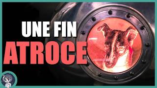 Ils ont MENTI sur le sort de LAIKA, le premier chien orbite ! - On Se l'Demande #132