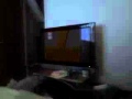 MVI 2103