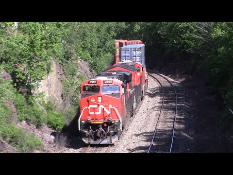 Local Train CN 519 Hauling Ahead thru the Halifax, NS Rock Cut