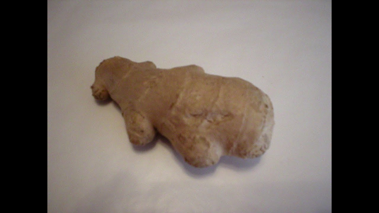 Ginger 101 - The Basics