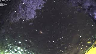 All sky camera capture from Poiana Rusca Mountains 2024-07-03