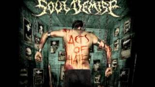 Soul Demise - In Blind Human Hate