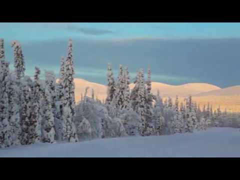 Rakovalkealla - Tapio Rautavaara