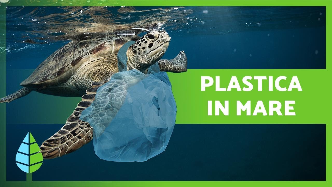 PLASTICA in MARE 🛍️🌊 Cause, Conseguenze e Soluzioni!