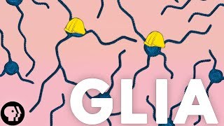 These Tiny Cells Shape Your Life