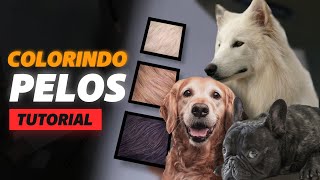 Tutorial on how to draw and color animal fur!
