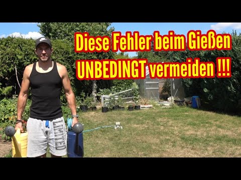 Typical mistakes we make when watering the garden And how to do it better