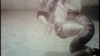 Побороть анаконду