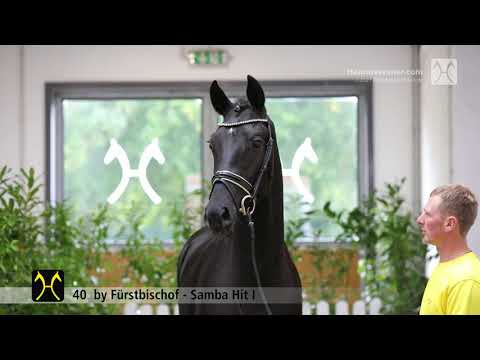 Verden Stallion Licensing 2021 - Dressage -  Nov. 4-6 - No. 40 Stallion by Fürstbischof - Samba Hit