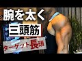 【目指せ上腕40cm超え!Part1】ダンベルで太い腕を作る!三頭筋(長頭狙い)ダンベル・ライイング・トライセップスエクステンション。