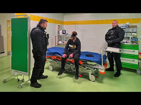 Mladá Boleslav: Noc na záchytce – agresivita klientů, přeplněná kapacita a stálý dluh na poplatcích