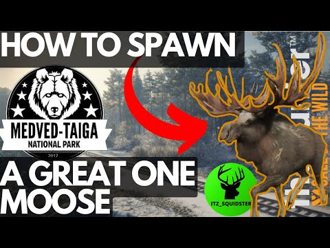 How to Spawn a GREATONE Moose EASY & FAST!! - Call of the Wild