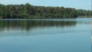 preview picture of video 'Auwaldsee Ingolstadt.wmv'