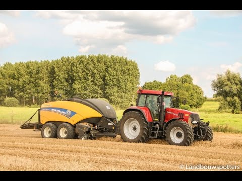 Case IH 195 CVX stro persen 2014 - Witdouck uit Kain