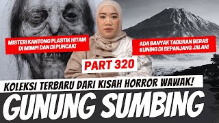 Download lagu PENDAKIAN GUNUNG SUMBING - KHW PART 320 mp3