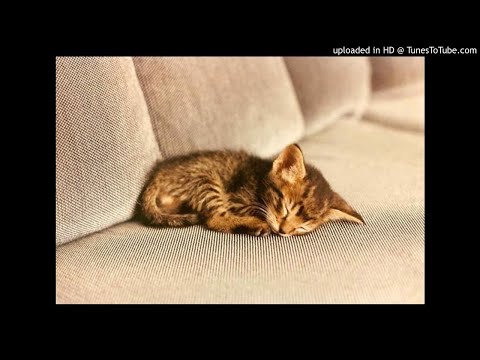 Aarre Merikanto - Two Studies for Small Orchestra (1936)