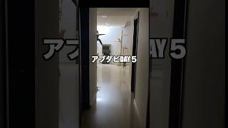 【アブダビDAY5】ネコと暮らす #shorts #アブダビ #猫のいる暮らし #葛藤