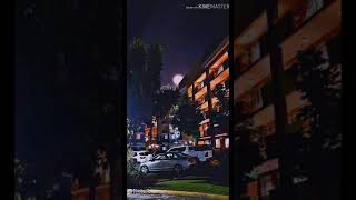 [LauRiAT13 Cover] Moonlight (긴 밤) by Ouioui (위위)