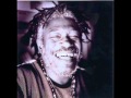 horace andy - living in the flood
