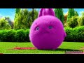 Preview 2 Sunny Bunnies V6