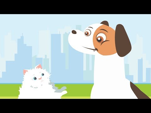 Papucel - Cantece pentru copii | PucoTV