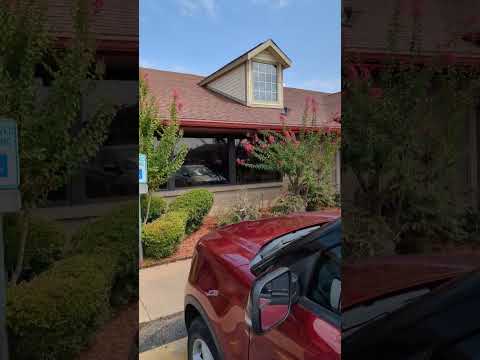 Paliçada do lombo Paris Tx