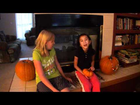 Part 3 - China Adoption; $10k spent and DTC on 10.29.10