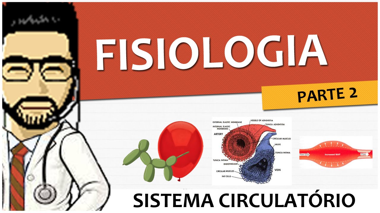 Sistema Circulatório 05 - Fisiologia vascular - Parte 2  (Vídeo-Aula)