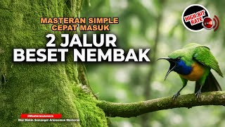 Download lagu 🔴 Live Cucak Cungkok Super Gacor Tembakan 2 Jalur Jenggot dan Kunti mp3 Download lagu 🔴 Live Cucak Cungkok Super Gacor Tembakan 2 Jalur Jenggot dan Kunti mp3