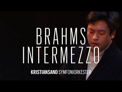 Brahms: Intermezzo No. 1 in E-Flat Major, Op. 117 - Sunwook Kim