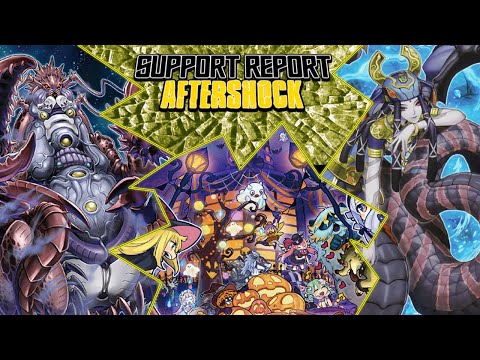 Support Report 2021 - Part 2: Aftershock