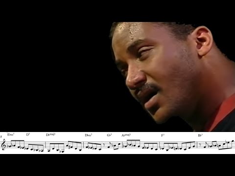 the most insane donna lee phrase you'll hear