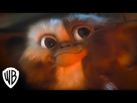 Gremlins: Billy Meets Gizmo | Movie Scene (HD) | Warner Bros. Entertainment