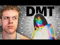 The Weirdest Hallucinatory Substance