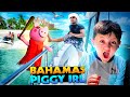 Schweinchen Versucht Den Bahamas Urlaub Zu Ruinieren Kellner Im Atlantis Wählt Das Trinkgeld