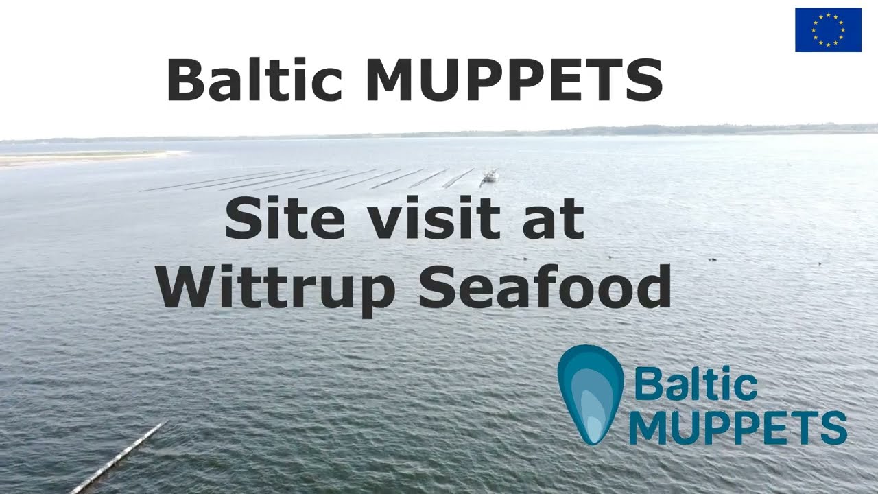 Baltic MUPPETS site visit to Wittrup Seafood