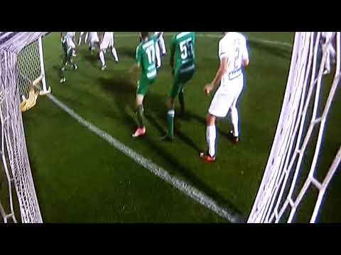 Chapecoense 2x0 Fluminense gol polêmico do Wellington Paulista