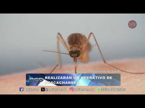 Realizarán un operativo de descacharreo