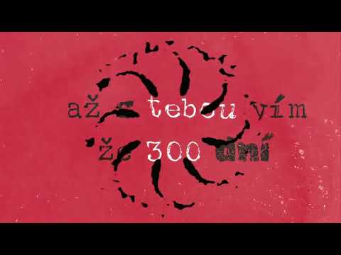 Patrik Malý - Patrik Malý - 300 dní [Official lyrics video]