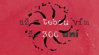 Video Patrik Malý - 300 dní [Official lyrics video]