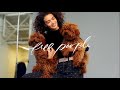 The November Collection Holidays Unleashed