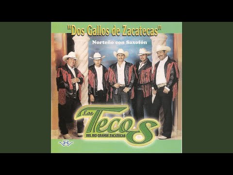 Dos Gallos de Zacatecas