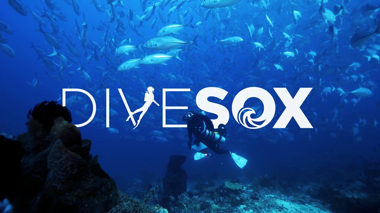 Dive SOX Ocean Month Celebration 2026 Highlights