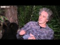 Gordon Buchanan Helps Abandoned Bear Cub The Bear Family And Me BBC