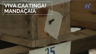 Miniatura do vídeo