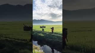 Download lagu story WA masih ada waktu -Ebiet G mp3