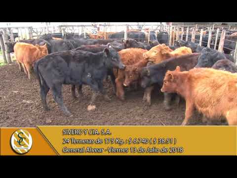13-07-18 Venta de Hembras - Sivero y Cía. S.A. - General Alvear
