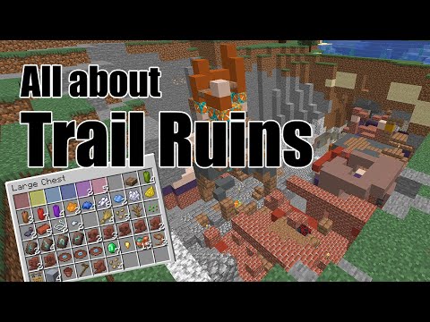 Minecraft 1.20 Trail Ruins | How to find Armor Trim Relic Disc Pottery & more