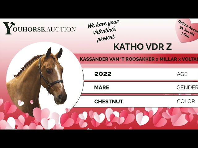 Katho VDR Z